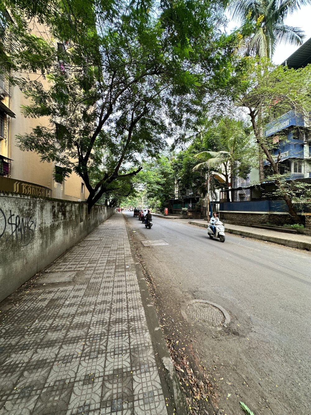 Bandra East — a leafy residential lane